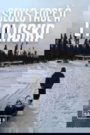 Säsong 8