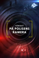 Säsong 1