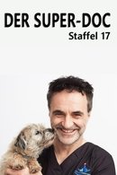 Säsong 17