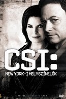 CSI: NY