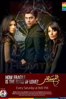 Humsafar