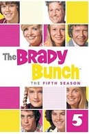 The Brady Bunch