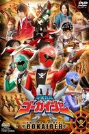 Kaizoku Sentai Gokaiger