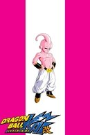 Majin Buu Saga