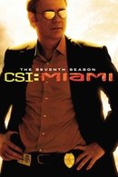 CSI: Miami