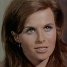 Lynn Loring