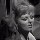 Mary Mitchel