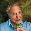 David Attenborough