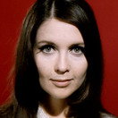 Anjanette Comer