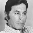 Michael Ansara