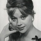 Judy Gringer