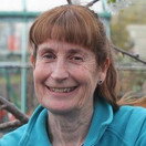 Beechgrove Garden Сезон 45 Епизод 21
