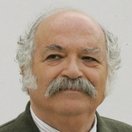 Meray Ülgen