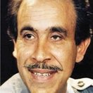 Karam El Najjar