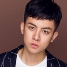 Liu Zhehui