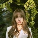 Dawon