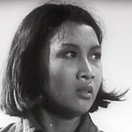 Liangliang Zhou