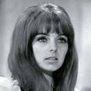 Dolly Read