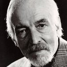 Friedrich Maurer