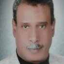 Mahmoud Bashir