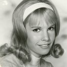 Cindy Carol