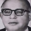 Ali El Zorkani