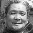 Shi Fengqi