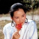 Zhang Yan