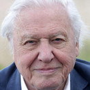 David Attenborough's Natural Curiosities Сезон 3 Епизод 2