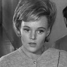 Nan Peterson