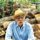 Alexis Damianos