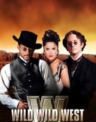 Filmomslag Wild Wild West