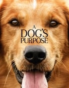 Filmomslag A Dog's Purpose