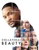 Filmomslag Collateral Beauty