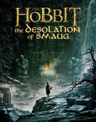Filmomslag The Hobbit: The Desolation of Smaug