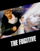 Filmomslag The Fugitive