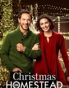 Filmomslag Christmas in Homestead