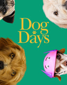 Filmomslag Dog Days