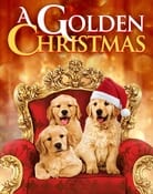 Filmomslag A Golden Christmas
