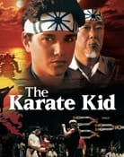 Filmomslag The Karate Kid