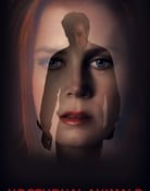 Filmomslag Nocturnal Animals