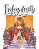 Filmomslag Labyrinth
