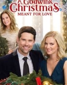 Filmomslag A Godwink Christmas: Meant For Love