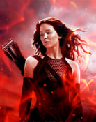 Filmomslag The Hunger Games: Catching Fire