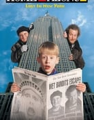 Filmomslag Home Alone 2: Lost in New York
