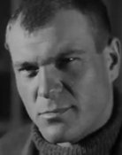 Владимир Войшвилло