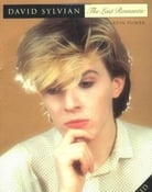 Grootschalige poster van David Sylvian