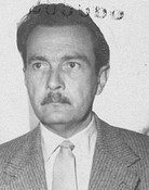 Dezső Ákos Hamza