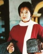 Wang Meihong
