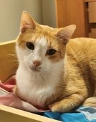 Barry